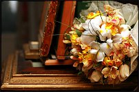 www.floristic.ru - . -Narcissus