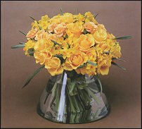 www.floristic.ru - . -Narcissus