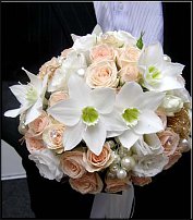 www.floristic.ru - . -Narcissus