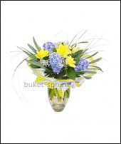 www.floristic.ru - . -Narcissus