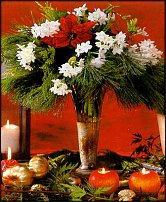 www.floristic.ru - . -Narcissus