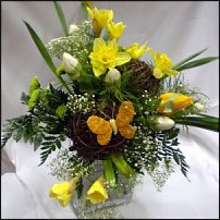 www.floristic.ru - . -Narcissus