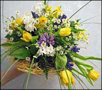 www.floristic.ru - . -Narcissus