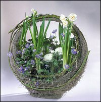 www.floristic.ru - .  