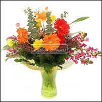 www.floristic.ru - . -Narcissus