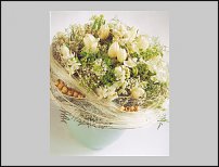 www.floristic.ru - . -Narcissus