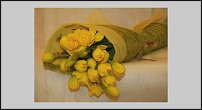 www.floristic.ru - . -Narcissus