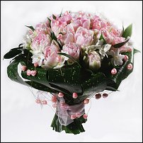 www.floristic.ru - . -Narcissus