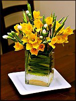 www.floristic.ru - . -Narcissus