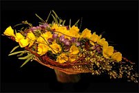 www.floristic.ru - . -Narcissus