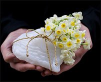 www.floristic.ru - . -Narcissus