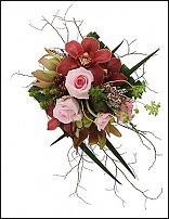 www.floristic.ru - .     .