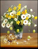 www.floristic.ru - . -Narcissus