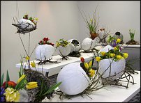 www.floristic.ru - . -Narcissus