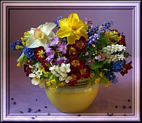 www.floristic.ru - . -Narcissus