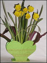 www.floristic.ru - . -Narcissus