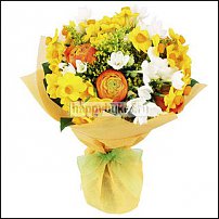 www.floristic.ru - . -Narcissus