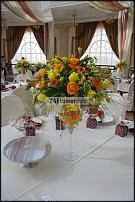 www.floristic.ru - . -Narcissus