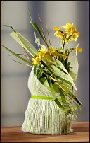 www.floristic.ru - . -Narcissus