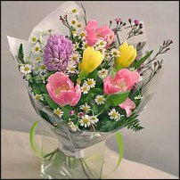 www.floristic.ru - . -Narcissus