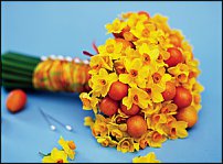 www.floristic.ru - . -Narcissus