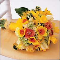 www.floristic.ru - . -Narcissus