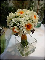 www.floristic.ru - . -Narcissus