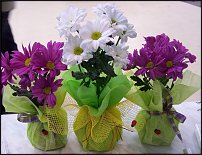 www.floristic.ru - .    !!!