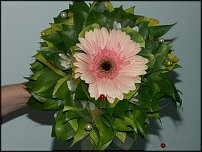 www.floristic.ru - .    !!!