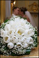 www.floristic.ru - . .