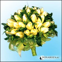 www.floristic.ru - . .