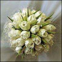 www.floristic.ru - . .