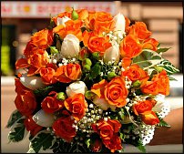 www.floristic.ru - . .