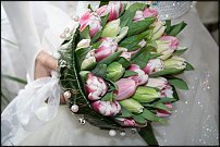 www.floristic.ru - . .