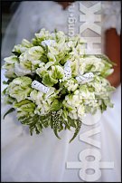 www.floristic.ru - . .