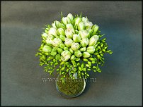 www.floristic.ru - . .