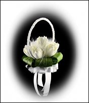 www.floristic.ru - . .