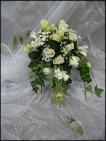 www.floristic.ru - . .