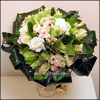 www.floristic.ru - . .