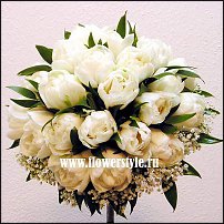 www.floristic.ru - . .