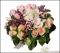 www.floristic.ru - . .