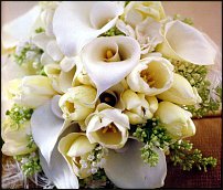 www.floristic.ru - . .