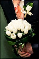 www.floristic.ru - . .