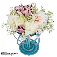 www.floristic.ru - . .