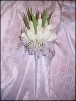 www.floristic.ru - . .