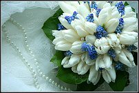 www.floristic.ru - . .