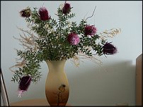 www.floristic.ru - .  .