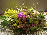 www.floristic.ru - .  .