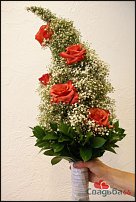 www.floristic.ru - . 