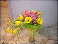 www.floristic.ru - .       8 !!!